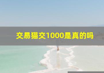 交易猫交1000是真的吗