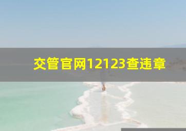 交管官网12123查违章