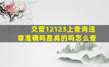 交管12123上查询违章准确吗是真的吗怎么查