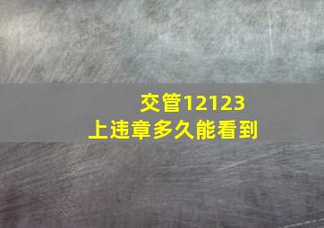 交管12123上违章多久能看到