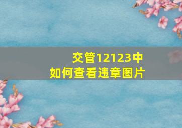 交管12123中如何查看违章图片