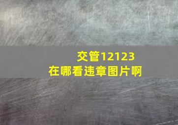 交管12123在哪看违章图片啊