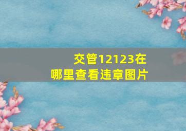 交管12123在哪里查看违章图片