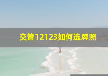 交管12123如何选牌照