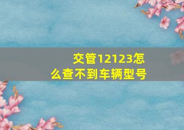 交管12123怎么查不到车辆型号