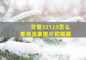 交管12123怎么查询违章图片和视频