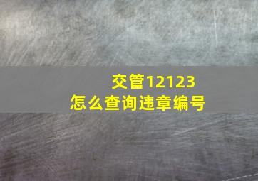 交管12123怎么查询违章编号