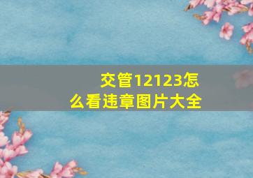 交管12123怎么看违章图片大全