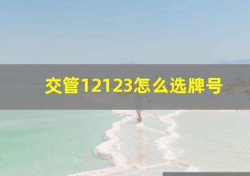 交管12123怎么选牌号