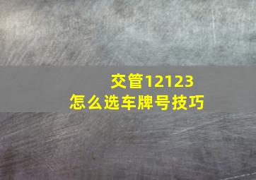 交管12123怎么选车牌号技巧