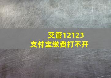 交管12123支付宝缴费打不开