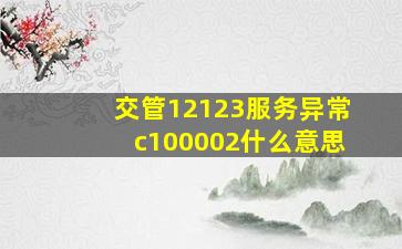 交管12123服务异常c100002什么意思