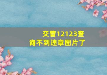 交管12123查询不到违章图片了