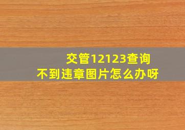 交管12123查询不到违章图片怎么办呀