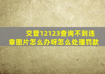 交管12123查询不到违章图片怎么办呀怎么处理罚款