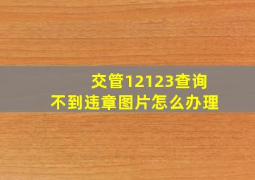 交管12123查询不到违章图片怎么办理