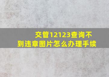 交管12123查询不到违章图片怎么办理手续