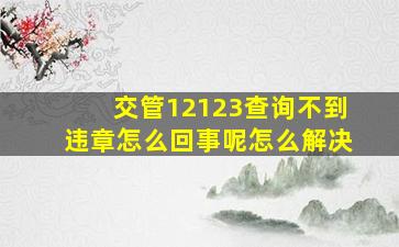 交管12123查询不到违章怎么回事呢怎么解决