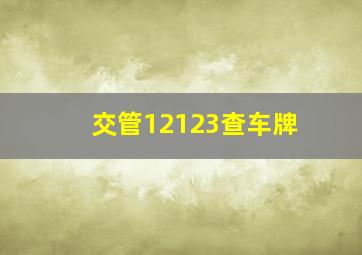 交管12123查车牌