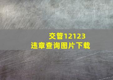 交管12123违章查询图片下载