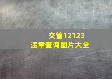 交管12123违章查询图片大全