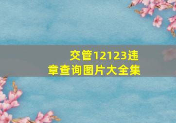 交管12123违章查询图片大全集