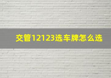 交管12123选车牌怎么选