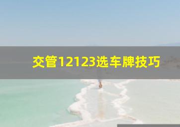 交管12123选车牌技巧