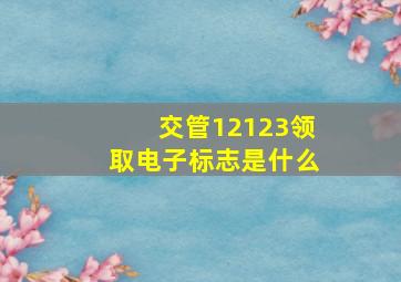 交管12123领取电子标志是什么