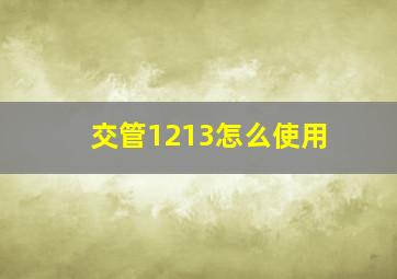 交管1213怎么使用