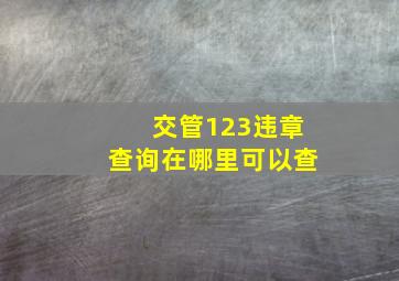 交管123违章查询在哪里可以查