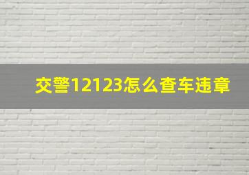 交警12123怎么查车违章