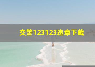 交警123123违章下载