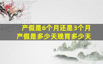 产假是6个月还是3个月产假是多少天晚育多少天