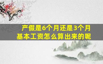 产假是6个月还是3个月基本工资怎么算出来的呢