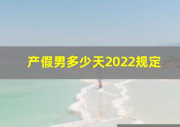 产假男多少天2022规定