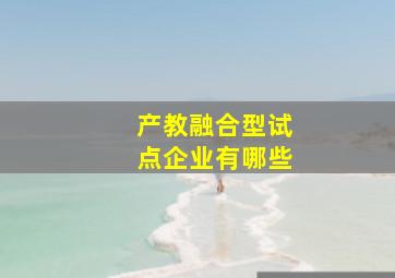 产教融合型试点企业有哪些