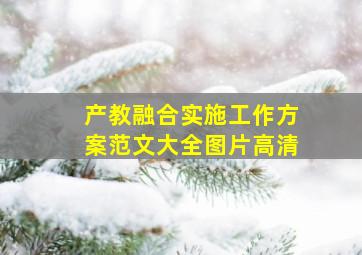 产教融合实施工作方案范文大全图片高清