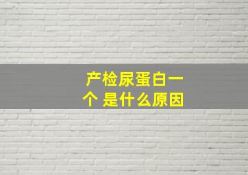 产检尿蛋白一个+是什么原因