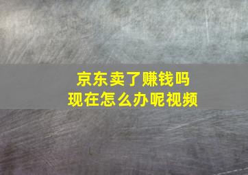 京东卖了赚钱吗现在怎么办呢视频