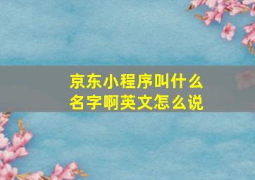 京东小程序叫什么名字啊英文怎么说