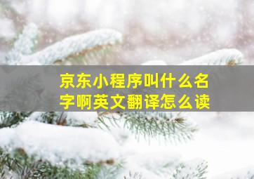 京东小程序叫什么名字啊英文翻译怎么读