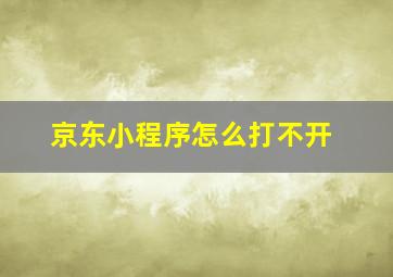 京东小程序怎么打不开