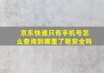 京东快递只有手机号怎么查询到哪里了呢安全吗