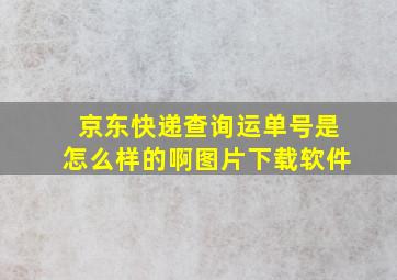 京东快递查询运单号是怎么样的啊图片下载软件