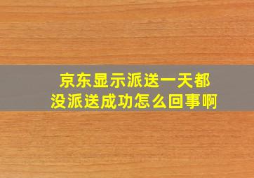 京东显示派送一天都没派送成功怎么回事啊