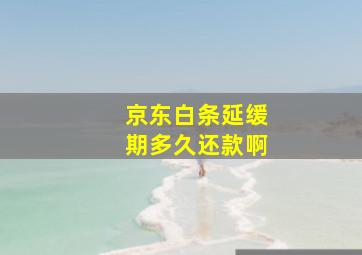 京东白条延缓期多久还款啊