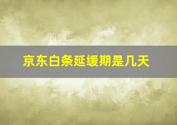 京东白条延缓期是几天