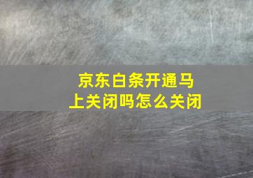 京东白条开通马上关闭吗怎么关闭