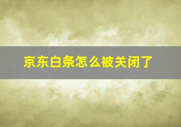 京东白条怎么被关闭了